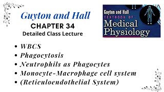 Chapter 5  Reticuloendothelial System  Monocyte Macrophage cell system  WBCs Tissue Macrophages [upl. by Danelle]