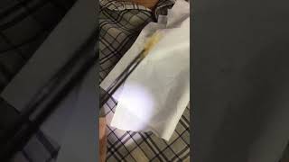 cleaning barbershop wax barber hardwax shortvideo shorts short [upl. by Rego]