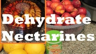 How to make Dehydrated Dried Nectarine Fruit with Waring Pro Food Dehydrator [upl. by Kerekes714]