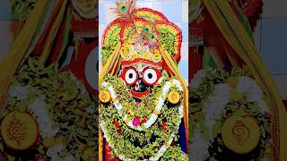 Jay Jagannath Swaminarayan Bhagwan song music live jay ⭕❗⭕🌹🎥🌺🙏🛐🔔🍁 [upl. by Suiratnod]