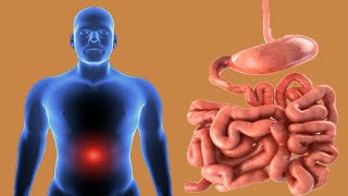 Sharp Stomach Pain That Comes And Goes Main Causes [upl. by Claire]