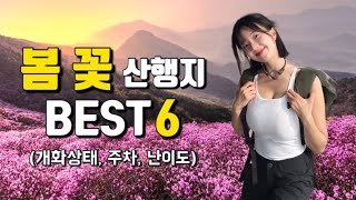 🌸대중교통으로 가는 난이도별 봄 꽃 산행 Best6  개화상황 추천코스  진달래 벚꽃 철쭉 🌺 [upl. by Aerdnaz]