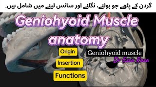 Geniohyoid Muscle anatomy ✅  Anterior Neck Muscles  origin Insertion and functions [upl. by Resay156]