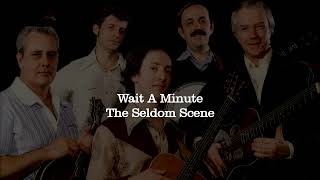 Wait A Minute  The Seldom Scene [upl. by Renba79]