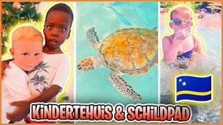 KiNDERTEHUiS BEZOEKEN  ZWEMMEN MET SCHiLPADDEN 💦 Curacao  Bellinga Vlog 3057 [upl. by Ahsyia292]