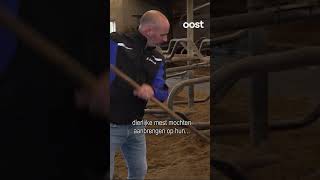 Kunstmest of dierlijke mest uitrijden Boer Luc weet dat wel oost shorts mest [upl. by Nastassia355]