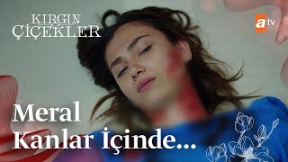 Meral kanlar içinde  Kırgın Çiçekler Mix Sahneler [upl. by Martita]