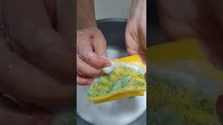 Sponge ASMR Ripping a soapy and old kitchen sponge 🧽 [upl. by Winson981]