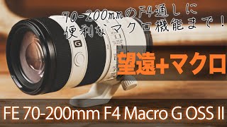 【SEL70200G2】望遠マクロという便利すぎるズームレンズ「FE 70200mm F4 Macro G OSS II 」を解説！ [upl. by Eeimaj]