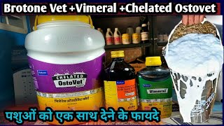 Brotone Liver toneVimeralChelated Ostovetपशुओं को एक साथ देने के फायदे कब कैसे [upl. by Sunshine]