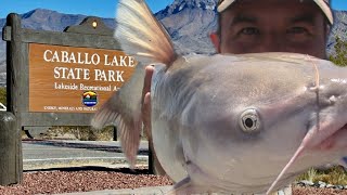 This Desert Lake Has Big Catfish [upl. by Nylla]