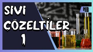 SIVI ÇÖZELTİLER 13  AYT [upl. by Atinnek412]