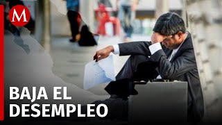 Tasa de desempleo en México bajó 23 durante marzo de 2024 [upl. by Bensky]