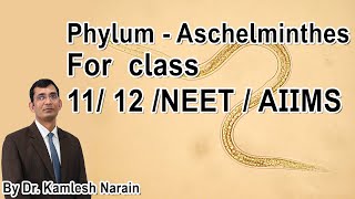 Phylum  Aschelminthes  Nemathelminthes  Nematoda class 11 12 NEET  AIIMS By DR KAMLESH NARAIN [upl. by Joachima]