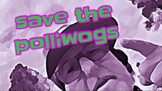 Save the Polliwogs￼ catch and release￼ [upl. by Attecnoc987]