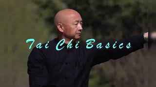 quotTai Yi Tai Chi for Beginners A Journey to Harmony and Healthquot道家太乙太极基本功 [upl. by Moshell]