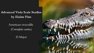 American crocodile D Major  Advanced Viola Scale Studies by Elaine Fine [upl. by Reace]