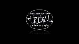 TRIBAL MIX DJ TOÑO INDA MIX PARTE 1 [upl. by Eceined]