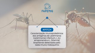 Pitch Caracterização imunoproteômica dos antígenos de Leishmania [upl. by Ylevol]