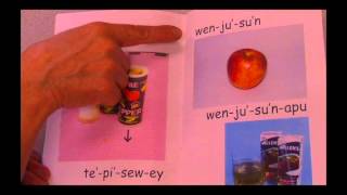 Mikmaq Online Lesson 1 [upl. by Cloe543]