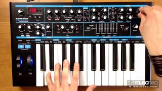 Novation Bass Station II Review [upl. by Mayyahk668]