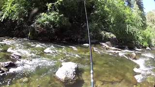 042 Tenkara  Yellowstone Cutthroats 1 [upl. by Wing]