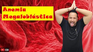 Anemia Megaloblástica  Tipos de Anemia  Sangue  Fisiologia Humana [upl. by Asillam717]