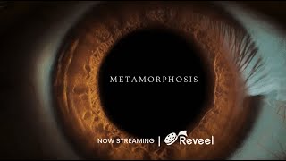 Metamorphosis Official Trailer  What If You Woke Up Next To a Werewolf [upl. by Balling]