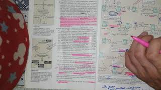 🧶FATTY ACID SYNTHASE MULTIFUNCTIONAL ENZYME IN EUKARYOTESPALAMITATE SYNTHESIS IN 7 STEPS ATP [upl. by Sutsugua]