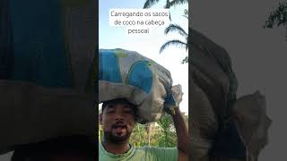 shotrs estou carregando os sacos de coco babaçu na cabeça [upl. by Kern555]