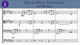 How to Add an Acciaccatura in Sibelius [upl. by Enomar]