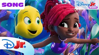 Disney Jr’s Ariel quotLa Sirenuscaquot Song 🎶  The Little Mermaid 🧜🏾‍♀️  disneyjr [upl. by Fredette]