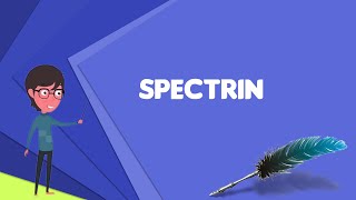 What is Spectrin Explain Spectrin Define Spectrin Meaning of Spectrin [upl. by Nissensohn]