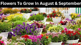 Flowers To Grow In August and September  Flowers to plant in August and September [upl. by Gavrah]