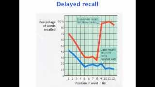 Serial position effect experiment  VCE Psychology [upl. by Ellerahs]