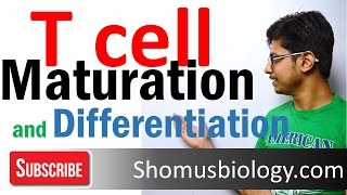 T Cell Development and Maturation  T Cells are COOL [upl. by Madelaine]