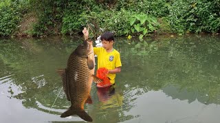 Making a House Door  How to Catch Stream Fish Goes to the market sell [upl. by Inod632]