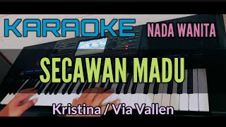 KARAOKE DANGDUT  SECAWAN MADU [upl. by Tut173]