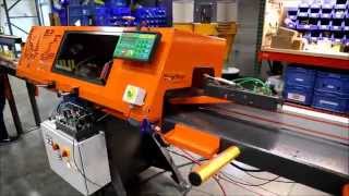 TigerSaw1000 Crayon Defect Marking amp Optimizing Crosscut Saw System [upl. by Edia]