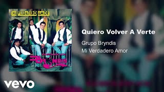 Grupo Bryndis  Quiero Volver A Verte Audio [upl. by Niuqram]