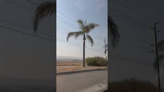 South Redlands California california [upl. by Luciano]