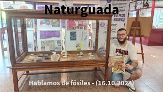 Un dientes de sable y otros fósiles de Guadalajara en el estudio  Naturguada [upl. by Anoy]