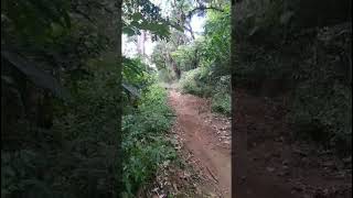 Downhll Fail and Fun downhillbike mtb gowes indonesiandownhill mtbindonesia [upl. by Ailehpo]