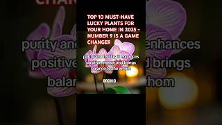 TOP 10 MUSTHAVE LUCKY PLANTS FOR YOUR HOME IN 2025 plants 2025 shorts fyp [upl. by Lhary]