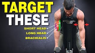 Top 6 Biceps Exercises for THICKER ARMS [upl. by Nesnar]