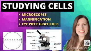 How to study cells  Microscopes magnification and calibrating the eyepiece graticule [upl. by Rod]