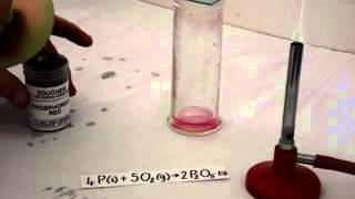 Phosphorus burns in oxygen [upl. by Annecorinne]