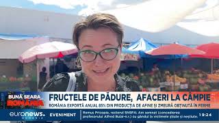 Afaceri de milioane de euro cu fructe de pădure Exportăm anual 85 din fructele crescute în ferme [upl. by Irec948]