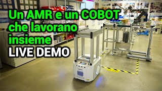 AMR  COBOT  Robotica collaborativa  DEMO  Alfacod Experience Center [upl. by Acceber386]