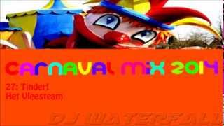 Carnaval Mix 2014 [upl. by Esaele897]